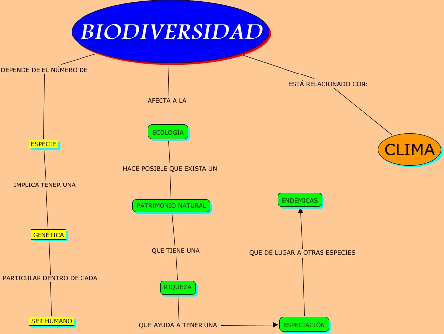 mapa conceptual biodiversidad